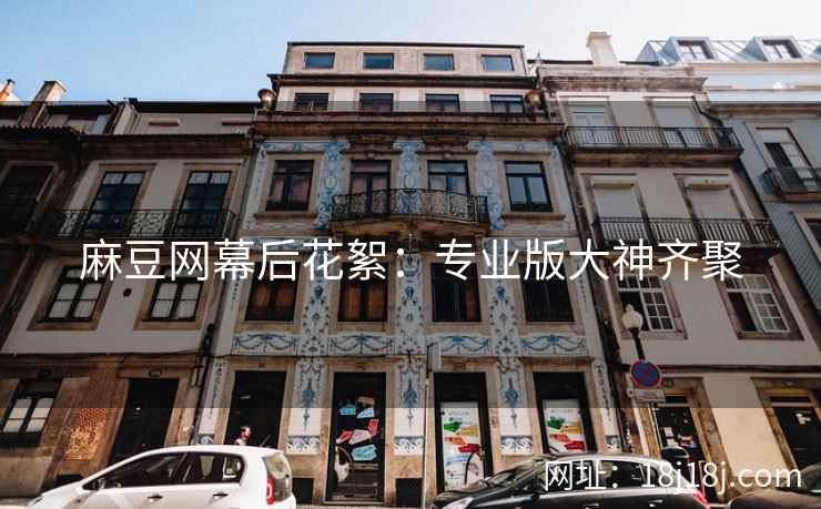 麻豆网幕后花絮：专业版大神齐聚