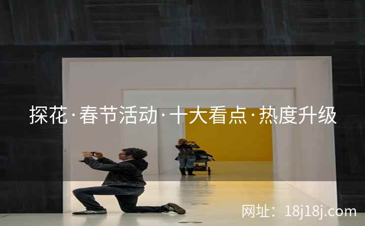 探花·春节活动·十大看点·热度升级