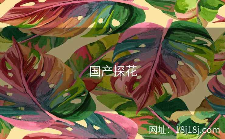 国产探花