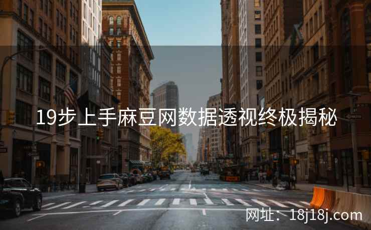 19步上手麻豆网数据透视终极揭秘