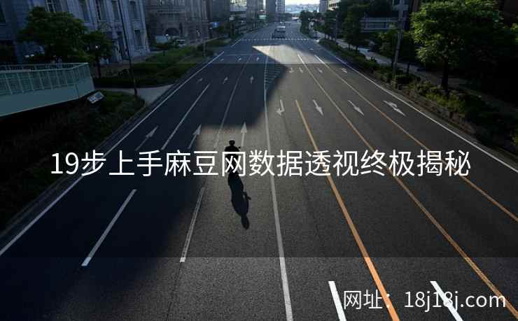 19步上手麻豆网数据透视终极揭秘