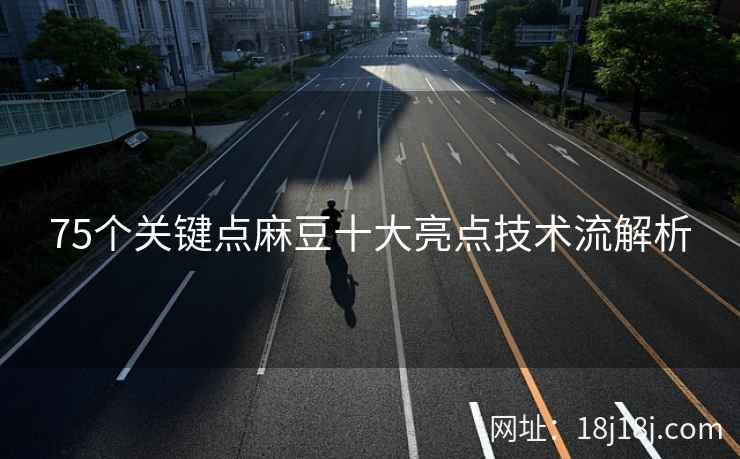 75个关键点麻豆十大亮点技术流解析