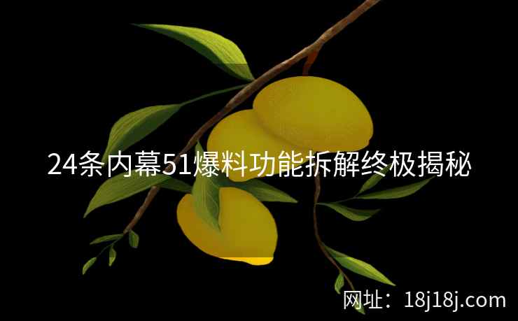 24条内幕51爆料功能拆解终极揭秘
