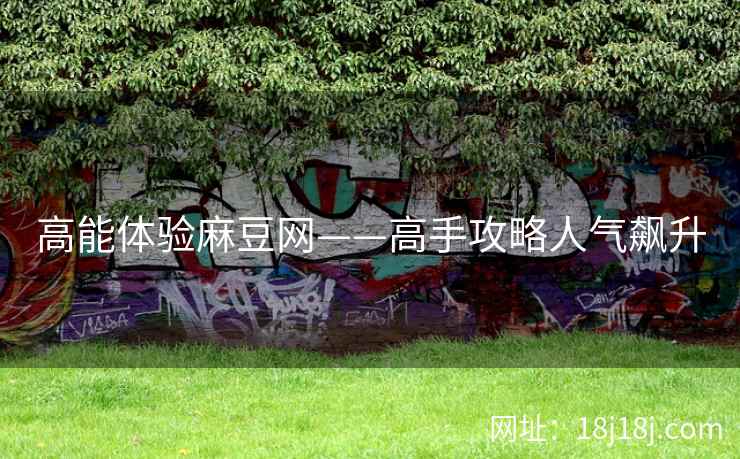 高能体验麻豆网——高手攻略人气飙升