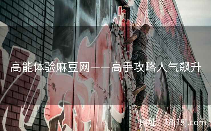 高能体验麻豆网——高手攻略人气飙升