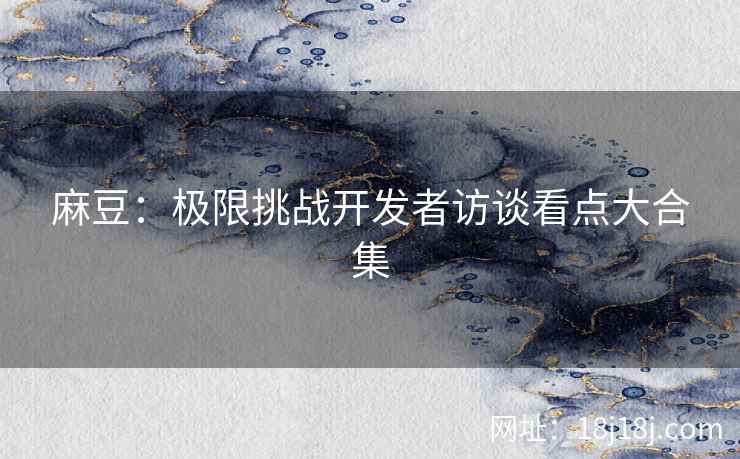 麻豆：极限挑战开发者访谈看点大合集