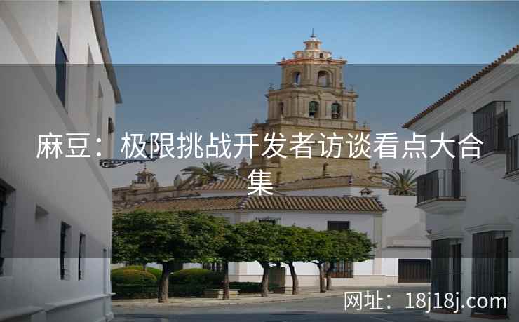 麻豆：极限挑战开发者访谈看点大合集
