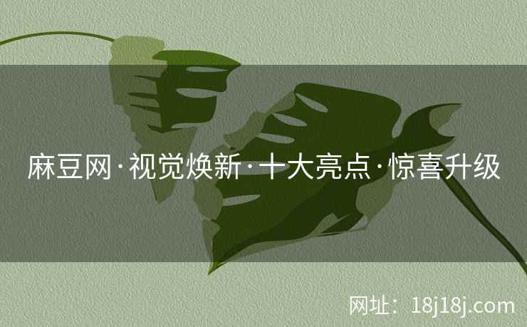 麻豆网·视觉焕新·十大亮点·惊喜升级
