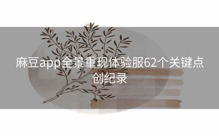 麻豆app全景重现体验服62个关键点创纪录