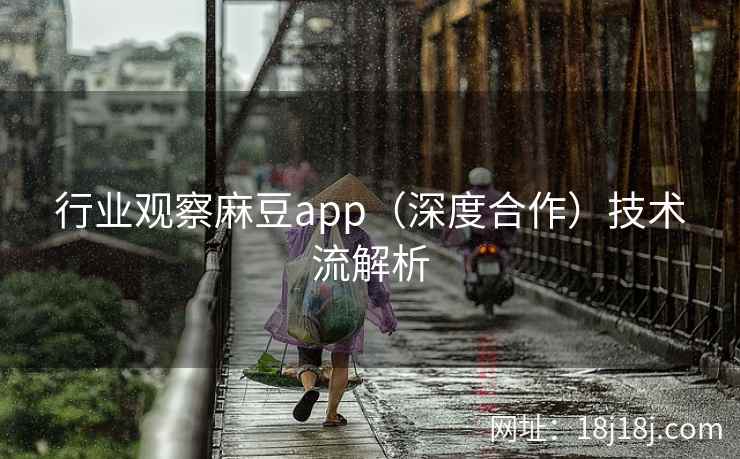 行业观察麻豆app（深度合作）技术流解析