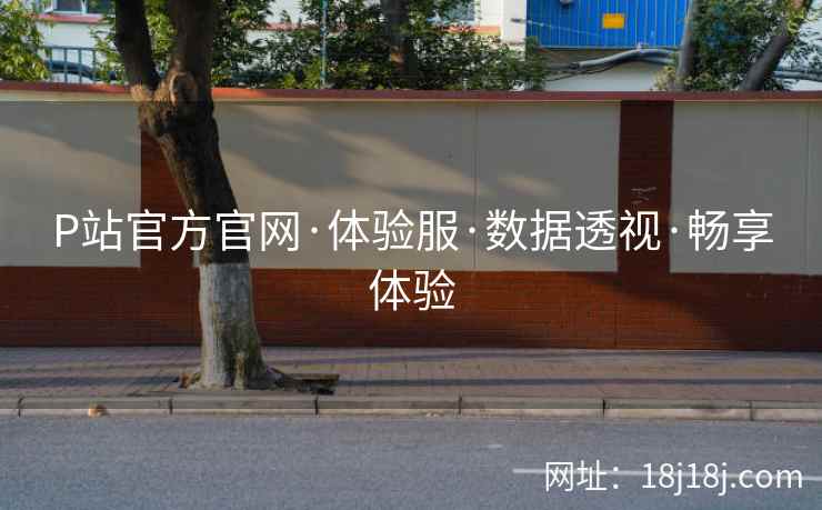 P站官方官网·体验服·数据透视·畅享体验