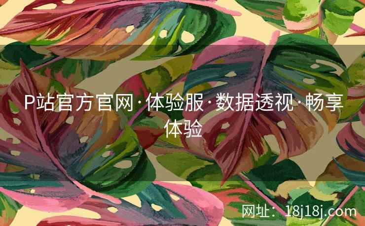 P站官方官网·体验服·数据透视·畅享体验