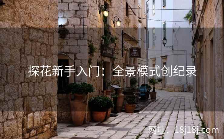 探花新手入门：全景模式创纪录